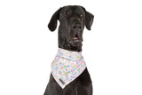 Big  and Little dogs Bandana Birthday Party Vibes - Premium Bandana > Hondenbandana from Big and Little Dogs - Just €9.99! Shop now at Frenkiezdogshop