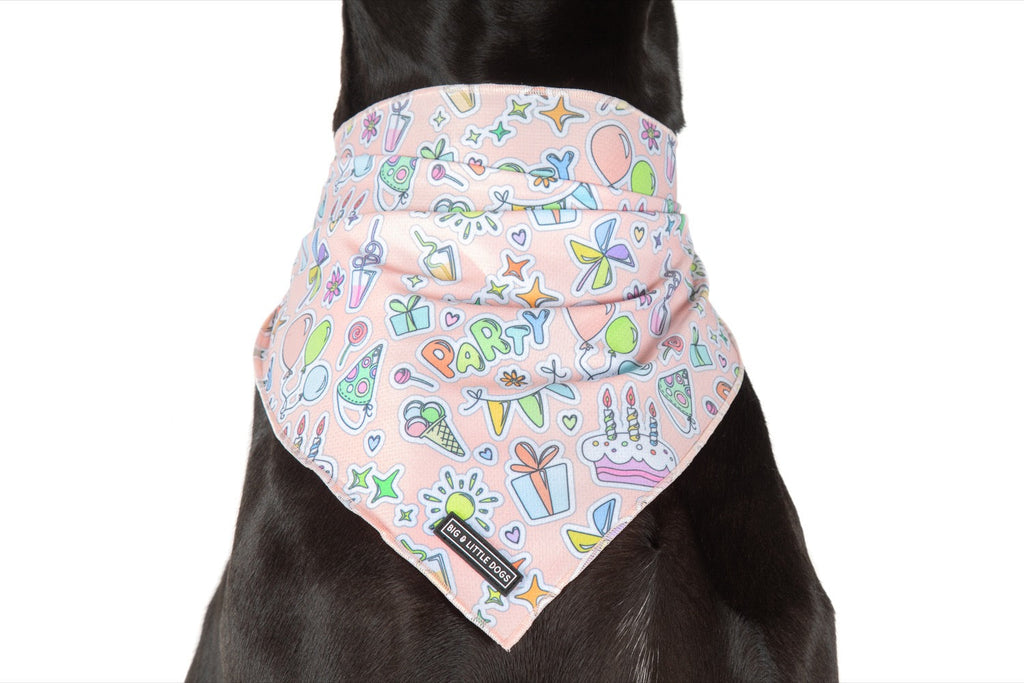 Big  and Little dogs Bandana Birthday Party Vibes - Premium Bandana > Hondenbandana from Big and Little Dogs - Just €9.99! Shop now at Frenkiezdogshop