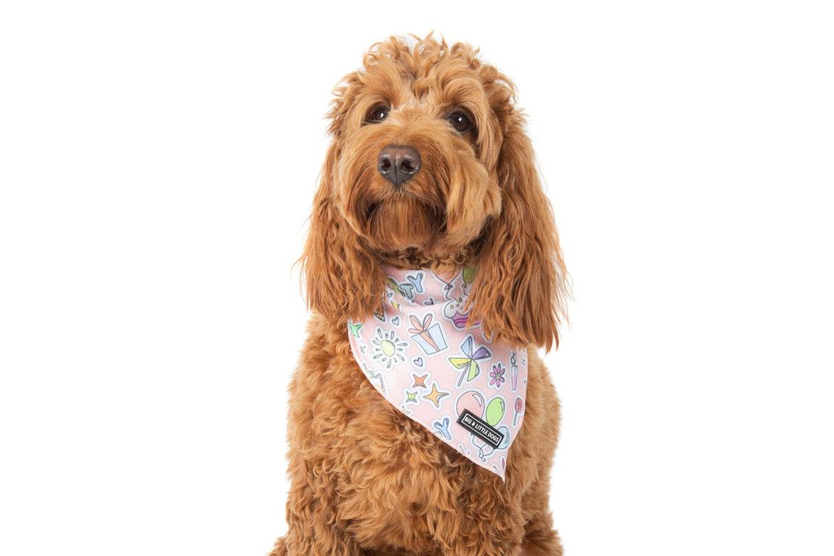 Big  and Little dogs Bandana Birthday Party Vibes - Premium Bandana > Hondenbandana from Big and Little Dogs - Just €9.99! Shop now at Frenkiezdogshop