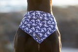 Big  and Little dogs Bandana Bite Me (Blue Version) - Premium Bandana > Hondenbandana from Big and Little Dogs - Just €9.99! Shop now at Frenkiezdogshop