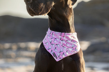 Big  and Little dogs Bandana Bite Me (Pink Version) - Premium Bandana > Hondenbandana from Big and Little Dogs - Just €9.99! Shop now at Frenkiezdogshop