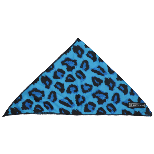 Big  and Little dogs Bandana Blue Leopard - Premium Bandana > Hondenbandana from Big and Little Dogs - Just €9.99! Shop now at Frenkiezdogshop