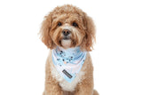 Big  and Little dogs Bandana Blue Splatter Terrazzo - Premium Bandana > Hondenbandana from Big and Little Dogs - Just €9.99! Shop now at Frenkiezdogshop