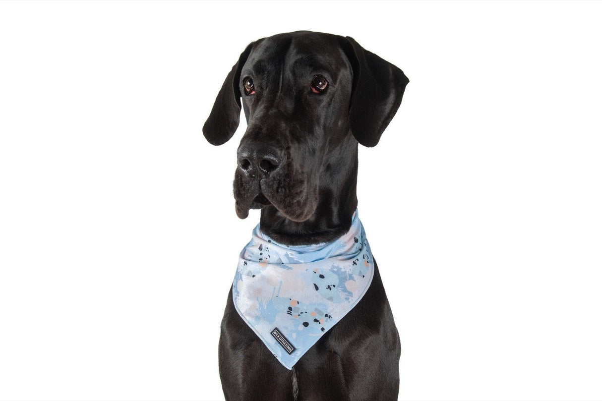 Big  and Little dogs Bandana Blue Splatter Terrazzo - Premium Bandana > Hondenbandana from Big and Little Dogs - Just €9.99! Shop now at Frenkiezdogshop