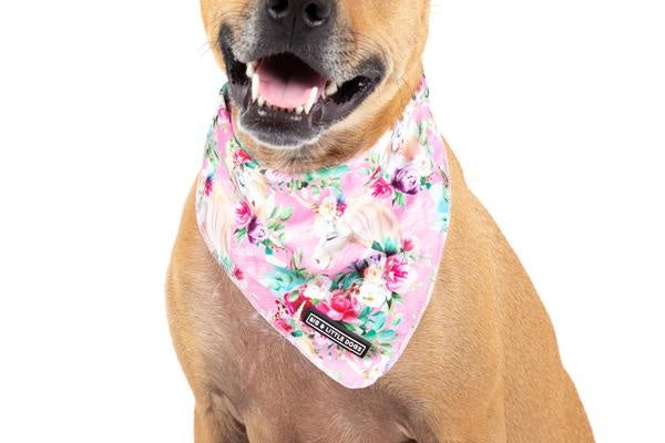 Big  and Little dogs Bandana Born to be a Unicorn - Premium Bandana > Hondenbandana from Big and Little Dogs - Just €9.99! Shop now at Frenkiezdogshop