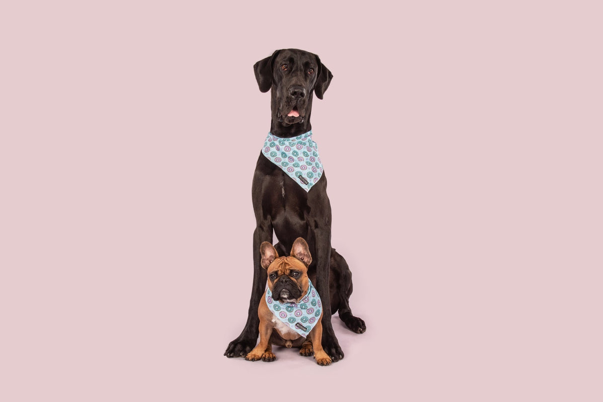 Big  and Little dogs Bandana Donut Kill My Vibe (Blue Version) - Premium Bandana > Hondenbandana from Big and Little Dogs - Just €9.99! Shop now at Frenkiezdogshop