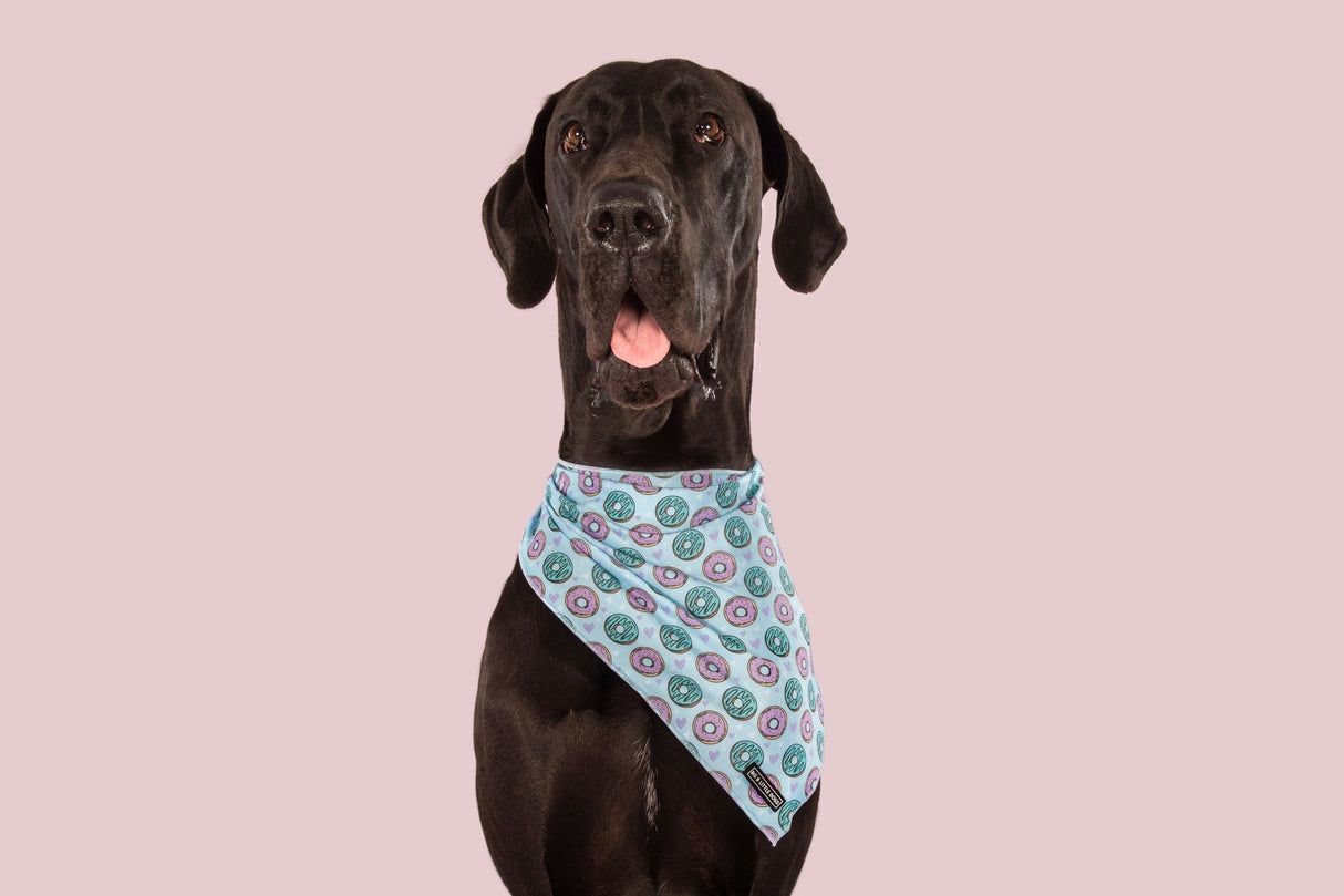 Big  and Little dogs Bandana Donut Kill My Vibe (Blue Version) - Premium Bandana > Hondenbandana from Big and Little Dogs - Just €9.99! Shop now at Frenkiezdogshop