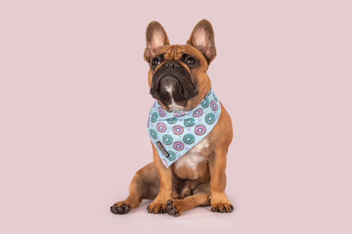 Big  and Little dogs Bandana Donut Kill My Vibe (Blue Version) - Premium Bandana > Hondenbandana from Big and Little Dogs - Just €9.99! Shop now at Frenkiezdogshop