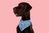 Big  and Little dogs Bandana Flocking Fabulous - Premium Bandana > Hondenbandana from Big and Little Dogs - Just €9.99! Shop now at Frenkiezdogshop