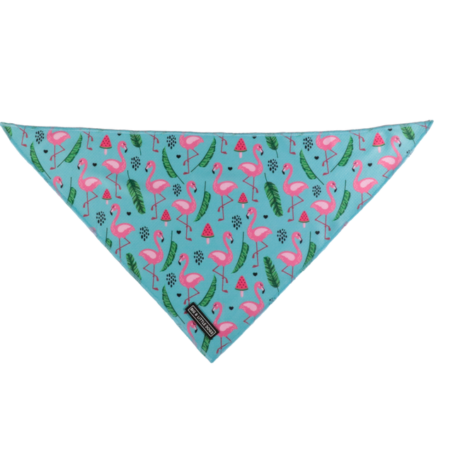 Big  and Little dogs Bandana Flocking Fabulous - Premium Bandana > Hondenbandana from Big and Little Dogs - Just €9.99! Shop now at Frenkiezdogshop