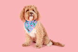 Big  and Little dogs Bandana Flocking Fabulous - Premium Bandana > Hondenbandana from Big and Little Dogs - Just €9.99! Shop now at Frenkiezdogshop