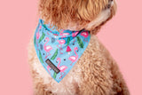 Big  and Little dogs Bandana Flocking Fabulous - Premium Bandana > Hondenbandana from Big and Little Dogs - Just €9.99! Shop now at Frenkiezdogshop