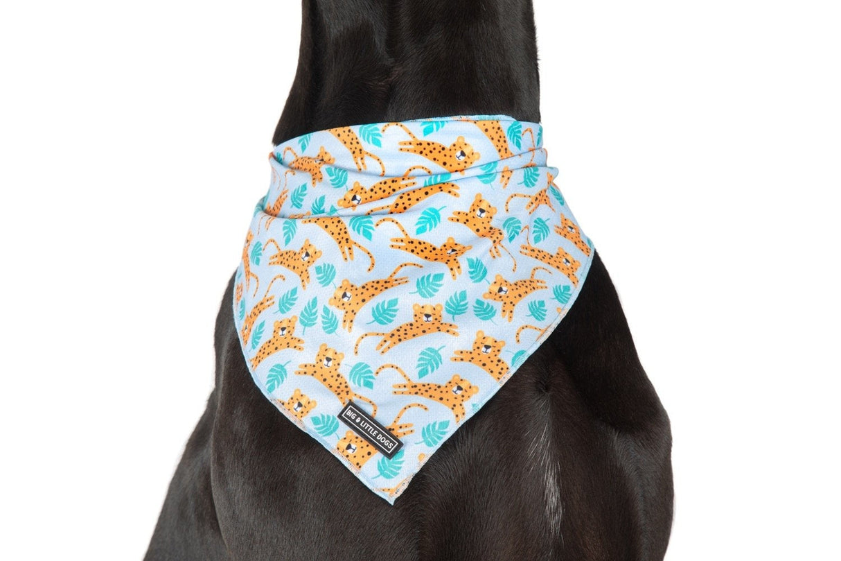 Big  and Little dogs Go Get Em' Tiger - Premium Bandana > Hondenbandana from Big and Little Dogs - Just €9.99! Shop now at Frenkiezdogshop