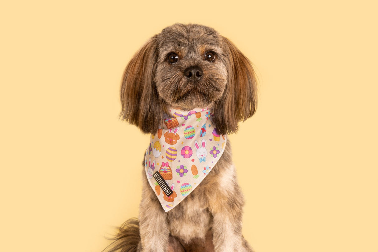 Big  and Little dogs Bandana Hoppy Easter - Premium Bandana > Hondenbandana from Big and Little Dogs - Just €9.99! Shop now at Frenkiezdogshop