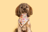 Big  and Little dogs Bandana Hoppy Easter - Premium Bandana > Hondenbandana from Big and Little Dogs - Just €9.99! Shop now at Frenkiezdogshop