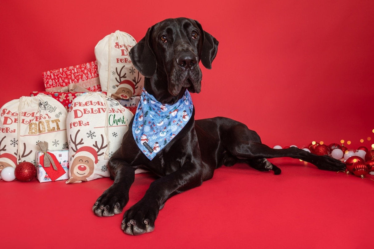 Big  and Little dogs Bandana Let It Snow - Premium Bandana > Hondenbandana from Big and Little Dogs - Just €9.99! Shop now at Frenkiezdogshop