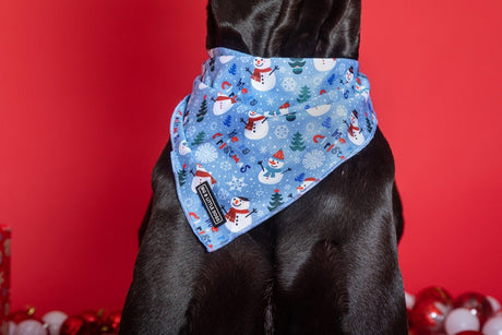 Big  and Little dogs Bandana Let It Snow - Premium Bandana > Hondenbandana from Big and Little Dogs - Just €9.99! Shop now at Frenkiezdogshop