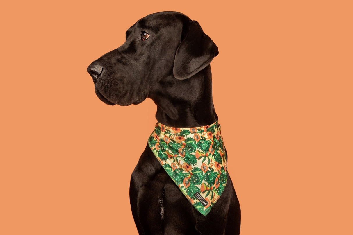 Big  and Little dogs Bandana Paw Paw Pawesome - Premium Bandana > Hondenbandana from Big and Little Dogs - Just €9.99! Shop now at Frenkiezdogshop