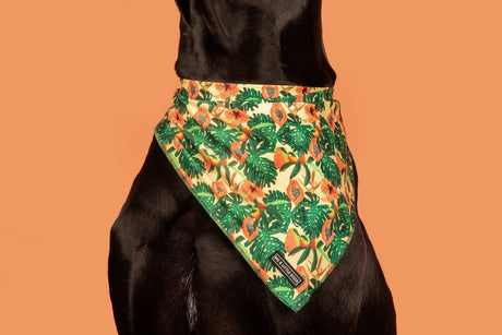 Big  and Little dogs Bandana Paw Paw Pawesome - Premium Bandana > Hondenbandana from Big and Little Dogs - Just €9.99! Shop now at Frenkiezdogshop