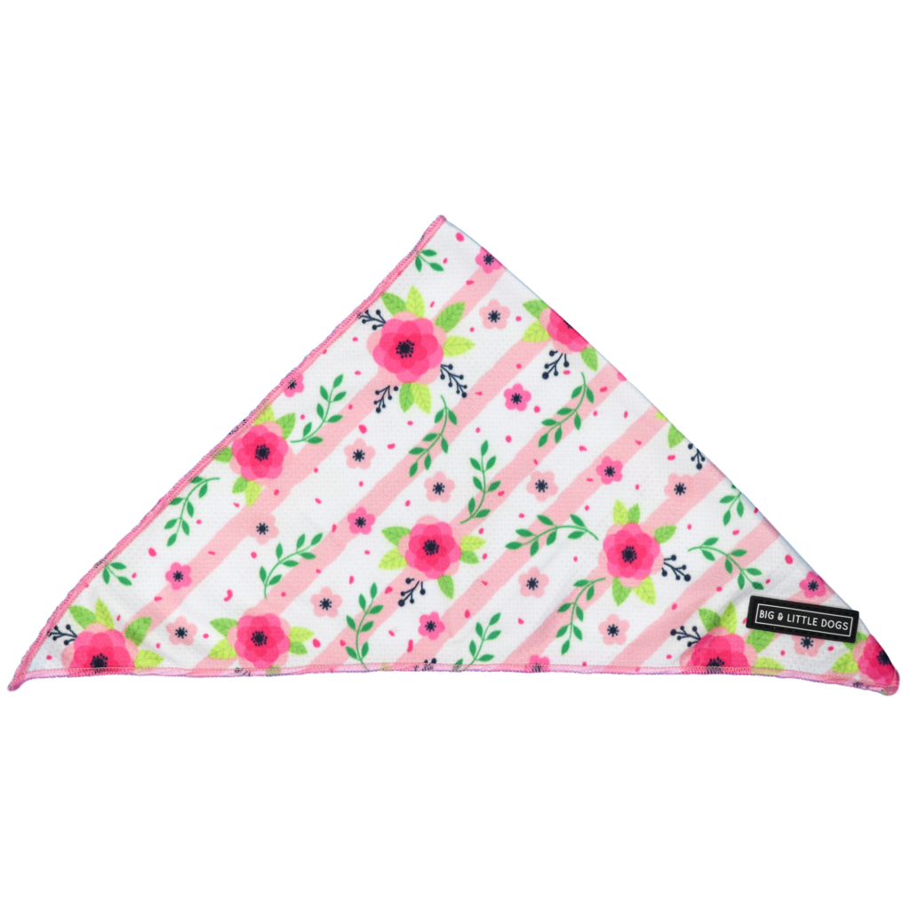 Big  and Little dogs Bandana Pretty as can Bee - Premium Bandana > Hondenbandana from Big and Little Dogs - Just €9.99! Shop now at Frenkiezdogshop