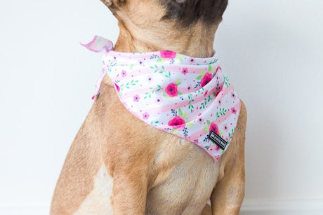 Big  and Little dogs Bandana Pretty as can Bee - Premium Bandana > Hondenbandana from Big and Little Dogs - Just €9.99! Shop now at Frenkiezdogshop