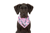 Big  and Little dogs Bandana Skull and Bones - Premium Bandana > Hondenbandana from Big and Little Dogs - Just €9.99! Shop now at Frenkiezdogshop