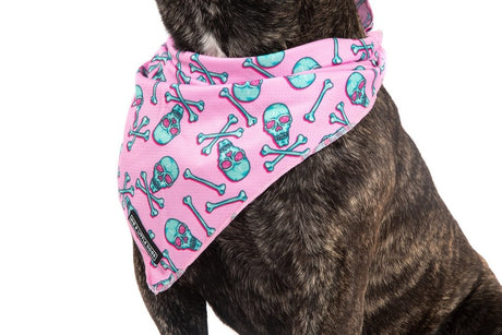 Big  and Little dogs Bandana Skull and Bones - Premium Bandana > Hondenbandana from Big and Little Dogs - Just €9.99! Shop now at Frenkiezdogshop