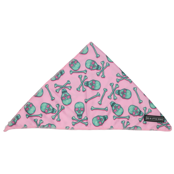 Big  and Little dogs Bandana Skull and Bones - Premium Bandana > Hondenbandana from Big and Little Dogs - Just €9.99! Shop now at Frenkiezdogshop