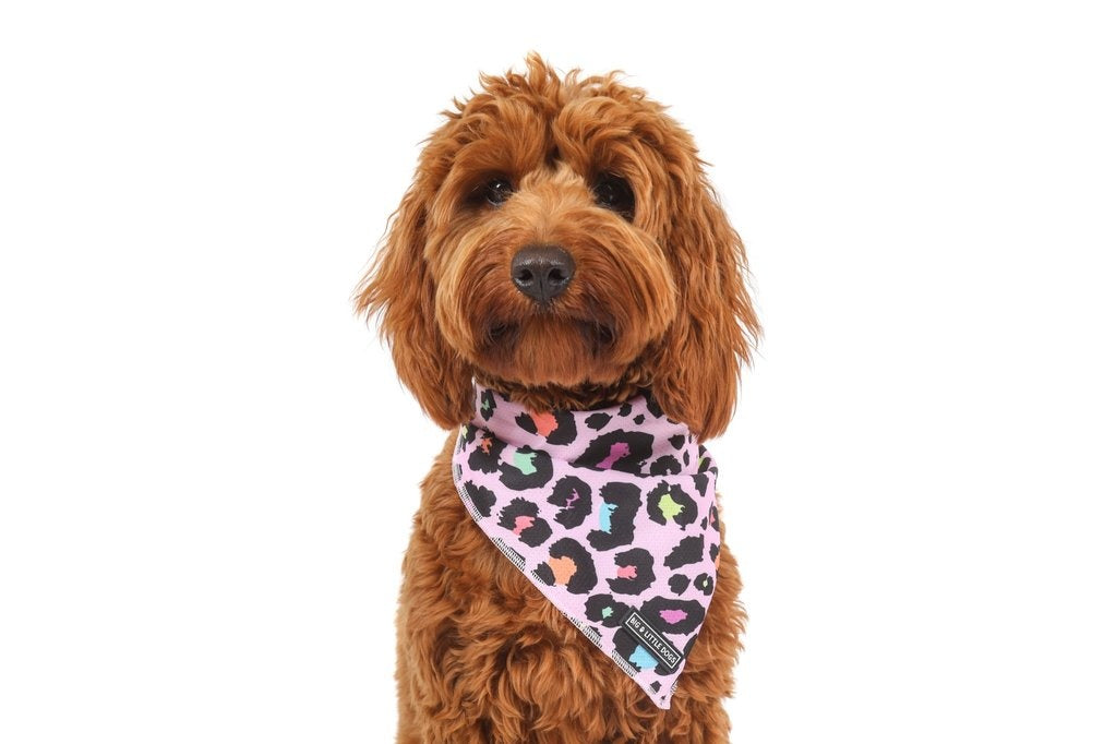 Big  and Little dogs Bandana  Spotted Leopard - Premium Bandana > Hondenbandana from Big and Little Dogs - Just €9.99! Shop now at Frenkiezdogshop