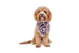 Big  and Little dogs Bandana  Spotted Leopard - Premium Bandana > Hondenbandana from Big and Little Dogs - Just €9.99! Shop now at Frenkiezdogshop