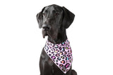 Big  and Little dogs Bandana  Spotted Leopard - Premium Bandana > Hondenbandana from Big and Little Dogs - Just €9.99! Shop now at Frenkiezdogshop