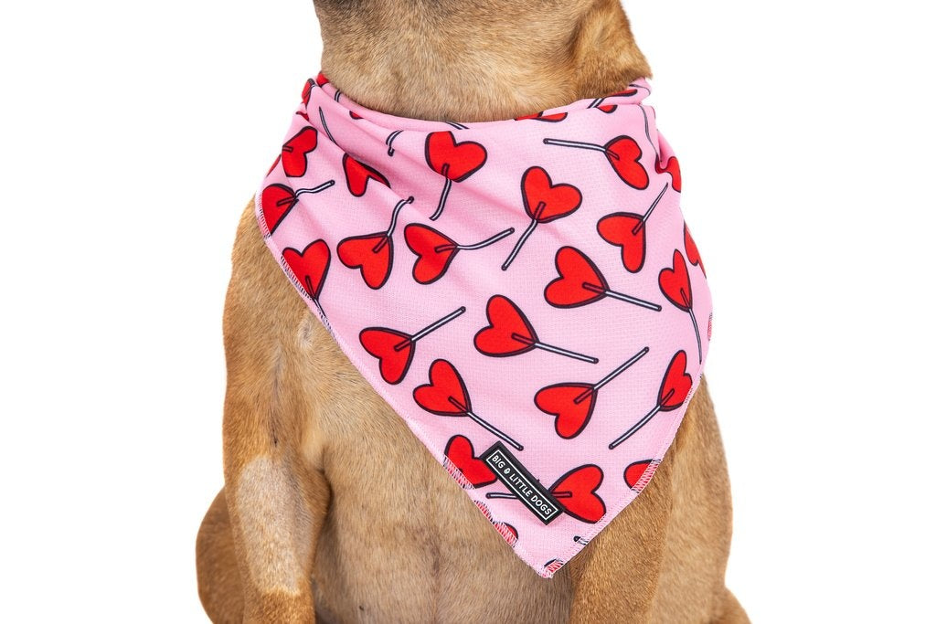 Big  and Little dogs Bandana Sucker For Love - Premium Bandana > Hondenbandana from Big and Little Dogs - Just €9.99! Shop now at Frenkiezdogshop