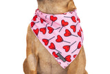 Big  and Little dogs Bandana Sucker For Love - Premium Bandana > Hondenbandana from Big and Little Dogs - Just €9.99! Shop now at Frenkiezdogshop