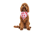 Big  and Little dogs Bandana Sucker For Love - Premium Bandana > Hondenbandana from Big and Little Dogs - Just €9.99! Shop now at Frenkiezdogshop