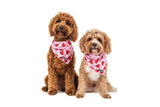 Big  and Little dogs Bandana Sucker For Love - Premium Bandana > Hondenbandana from Big and Little Dogs - Just €9.99! Shop now at Frenkiezdogshop