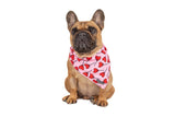 Big  and Little dogs Bandana Sucker For Love - Premium Bandana > Hondenbandana from Big and Little Dogs - Just €9.99! Shop now at Frenkiezdogshop