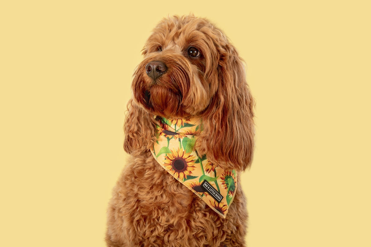 Big  and Little dogs Bandana Sunny Vibes - Premium Bandana > Hondenbandana from Big and Little Dogs - Just €9.99! Shop now at Frenkiezdogshop