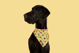 Big  and Little dogs Bandana Sunny Vibes - Premium Bandana > Hondenbandana from Big and Little Dogs - Just €9.99! Shop now at Frenkiezdogshop