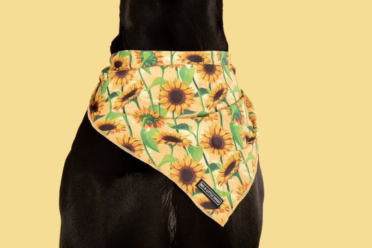 Big  and Little dogs Bandana Sunny Vibes - Premium Bandana > Hondenbandana from Big and Little Dogs - Just €9.99! Shop now at Frenkiezdogshop