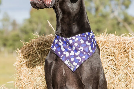 Big  and Little dogs Bandana Winter Blues - Premium Bandana > Hondenbandana from Big and Little Dogs - Just €9.99! Shop now at Frenkiezdogshop