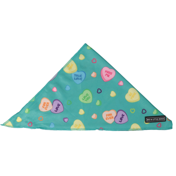 Big  and Little dogs Bandana Conversation Hearts - Premium Bandana > Hondenbandana from Big and Little Dogs - Just €9.99! Shop now at Frenkiezdogshop