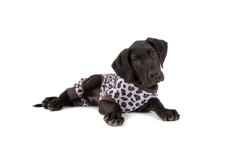 Big and Little Dogs Onesie Pyjama Leopard Hondenkleding > Hondenpyjama X - Small