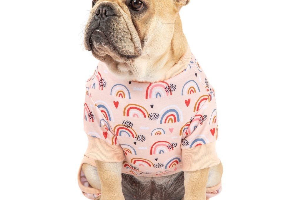 Big and Little Dogs Onesie Pyjama Rainbow Dreams - Premium Hondenkleding > Hondenpyjama from Big and Little Dogs - Just €19.99! Shop now at Frenkiezdogshop