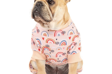 Big and Little Dogs Onesie Pyjama Rainbow Dreams Hondenkleding > Hondenpyjama Large