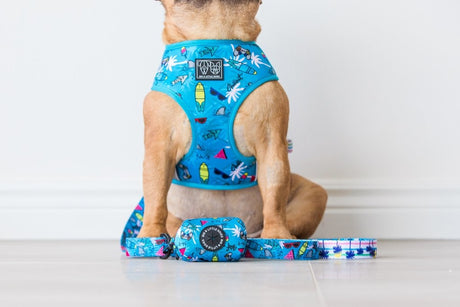 Big and Little Dogs Surf's Up poepzakjeshouder - Premium Poepzakjeshouder > Poepzakhouder from Big and Little Dogs - Just €15.99! Shop now at Frenkiezdogshop