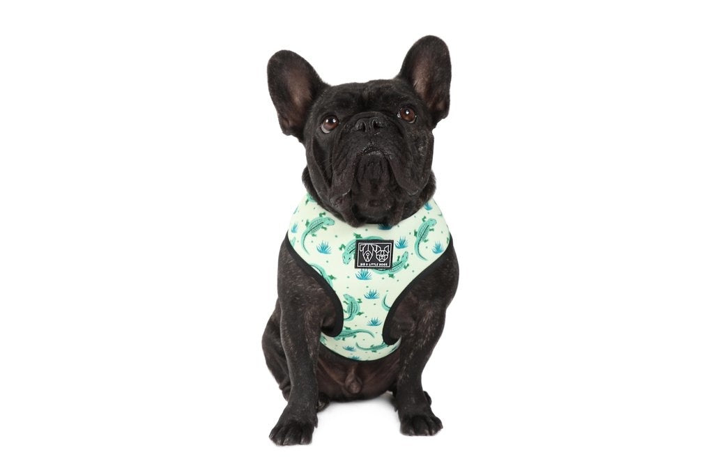 Big and Little Dogs Reversible Crikey Croc - Premium hondentuig > honden harnas from Big and Little Dogs - Just €23.99! Shop now at Frenkiezdogshop