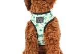 Big and Little Dogs Reversible Crikey Croc - Premium hondentuig > honden harnas from Big and Little Dogs - Just €23.99! Shop now at Frenkiezdogshop