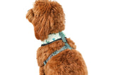 Big and Little Dogs Reversible Crikey Croc - Premium hondentuig > honden harnas from Big and Little Dogs - Just €23.99! Shop now at Frenkiezdogshop