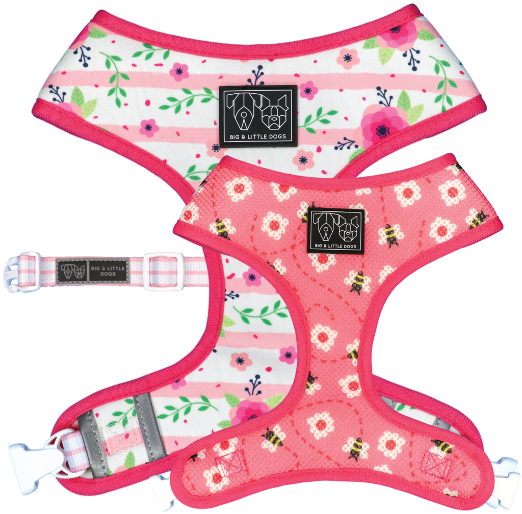 Big and Little Dogs Reversible Pretty as can Bee - Premium hondentuig > honden harnas from Big and Little Dogs - Just €27.99! Shop now at Frenkiezdogshop