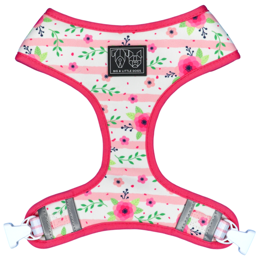 Big and Little Dogs Reversible Pretty as can Bee - Premium hondentuig > honden harnas from Big and Little Dogs - Just €27.99! Shop now at Frenkiezdogshop